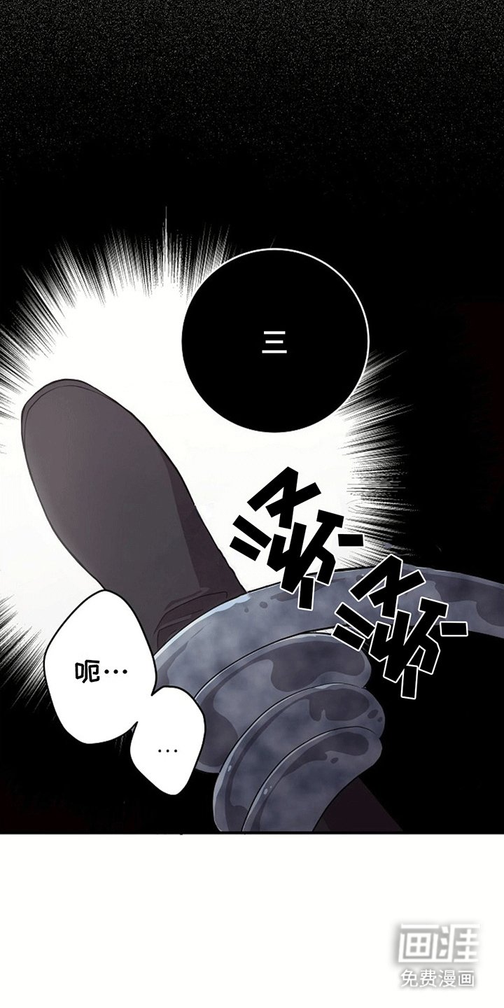第4章：带回洞穴
