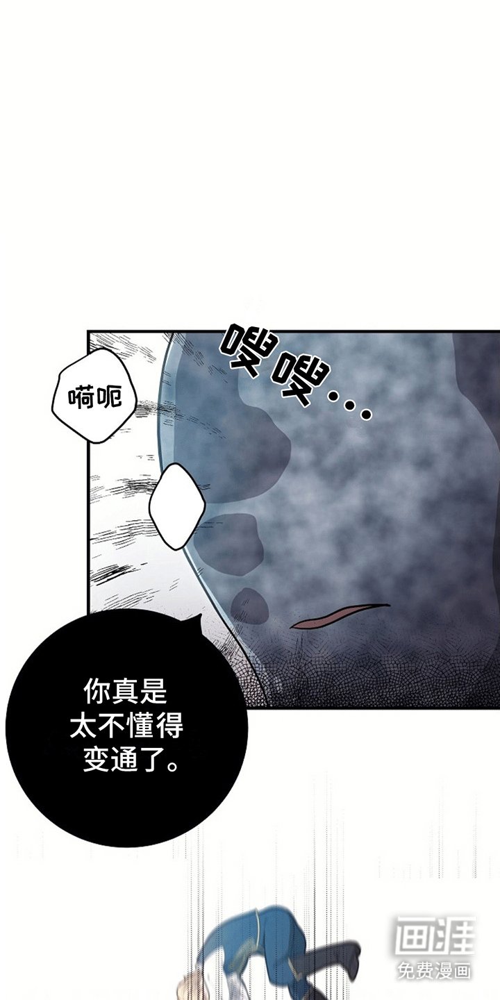 第4章：带回洞穴