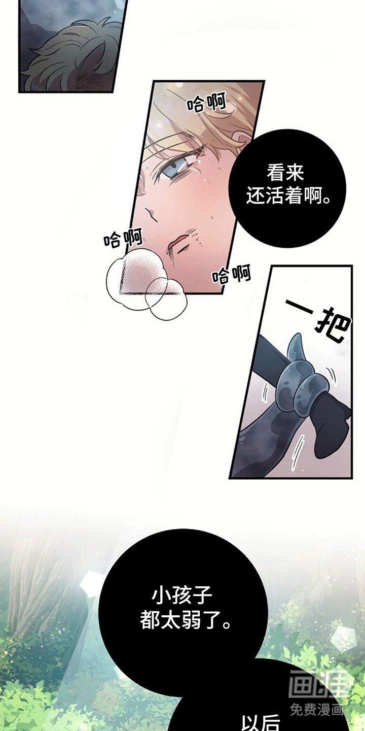 第4章：带回洞穴