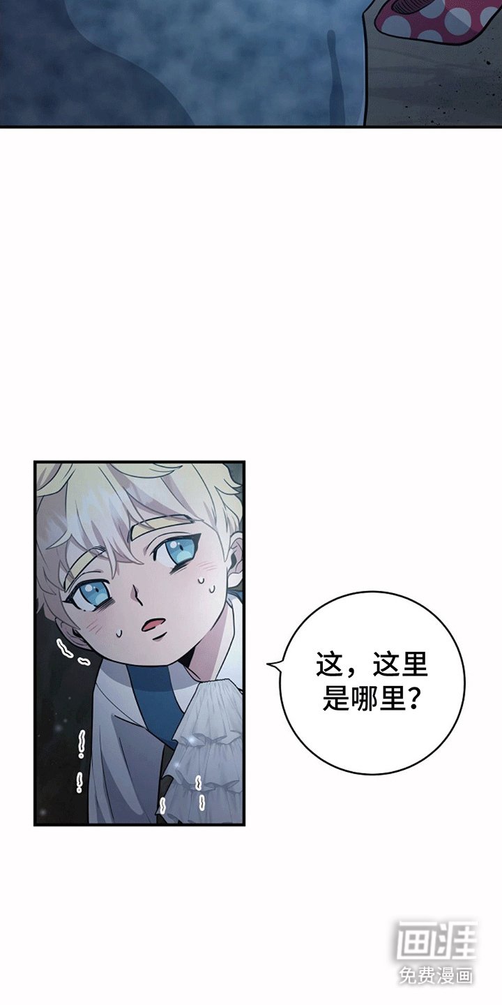 第4章：带回洞穴