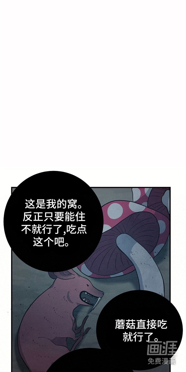 第4章：带回洞穴