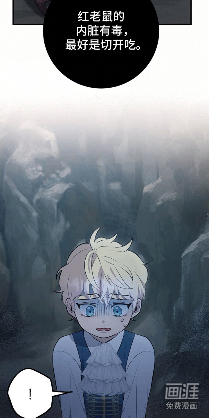 第4章：带回洞穴