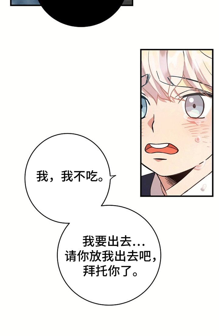 第4章：带回洞穴