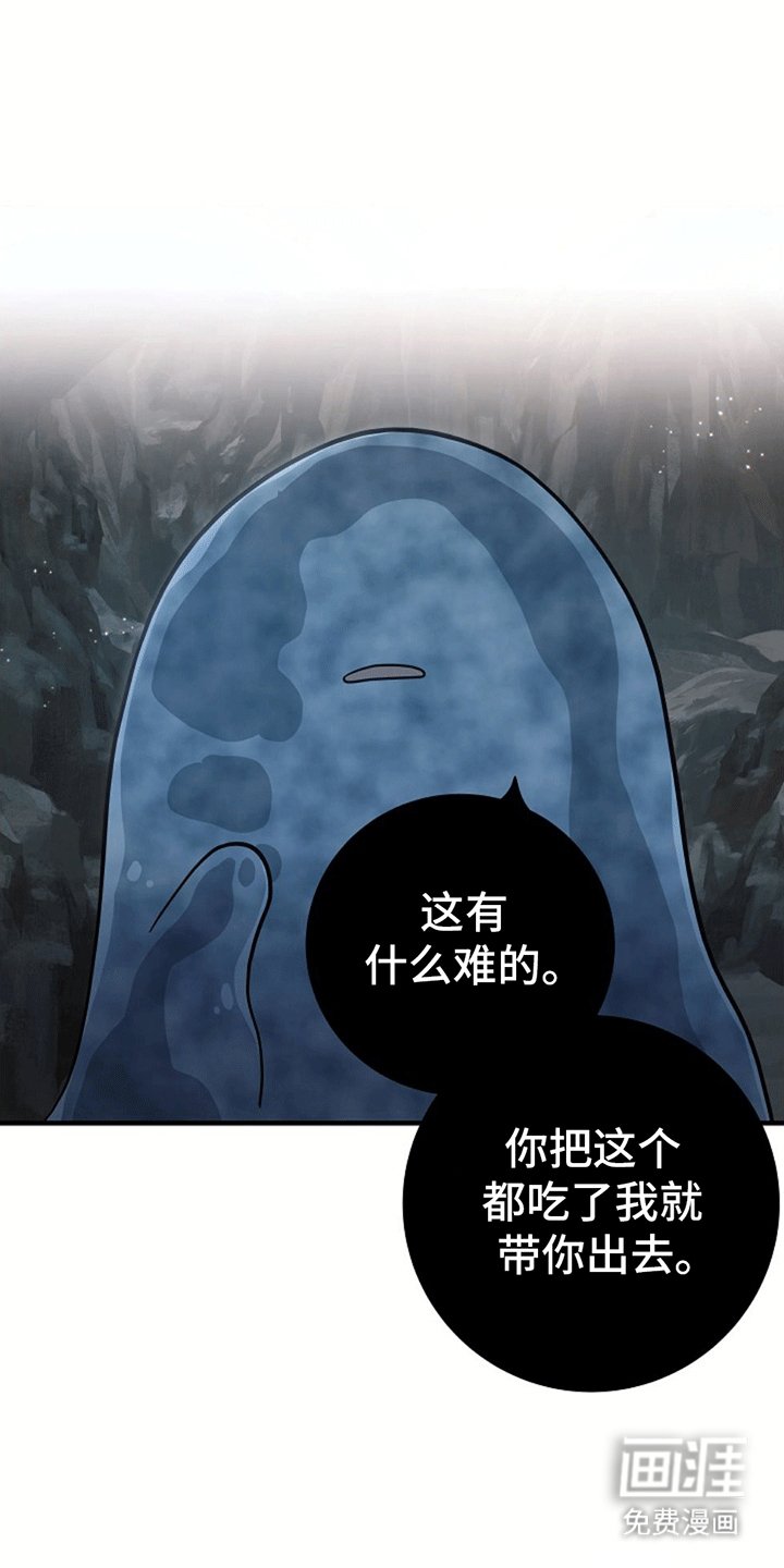 第4章：带回洞穴