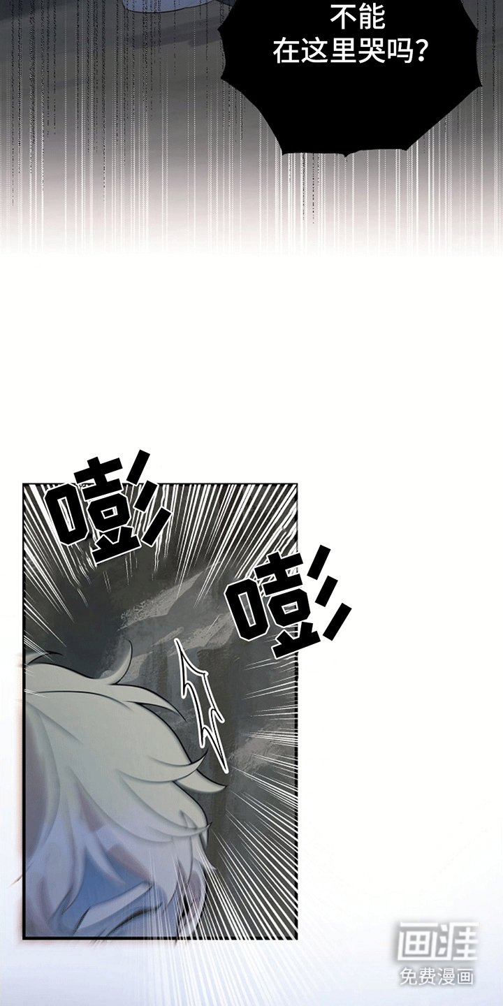 第4章：带回洞穴