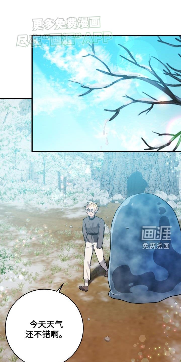 第41章：真实面目