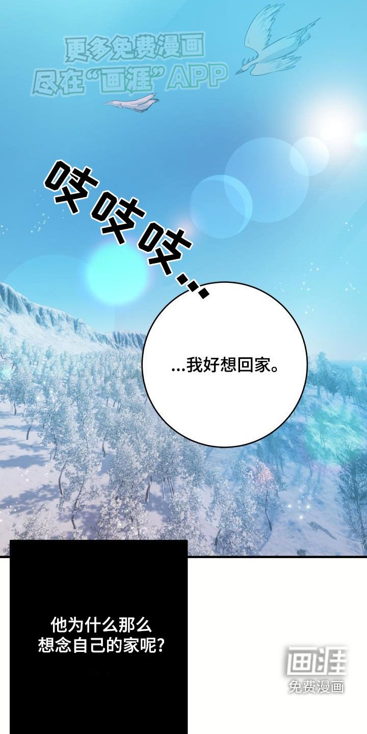第41章：真实面目