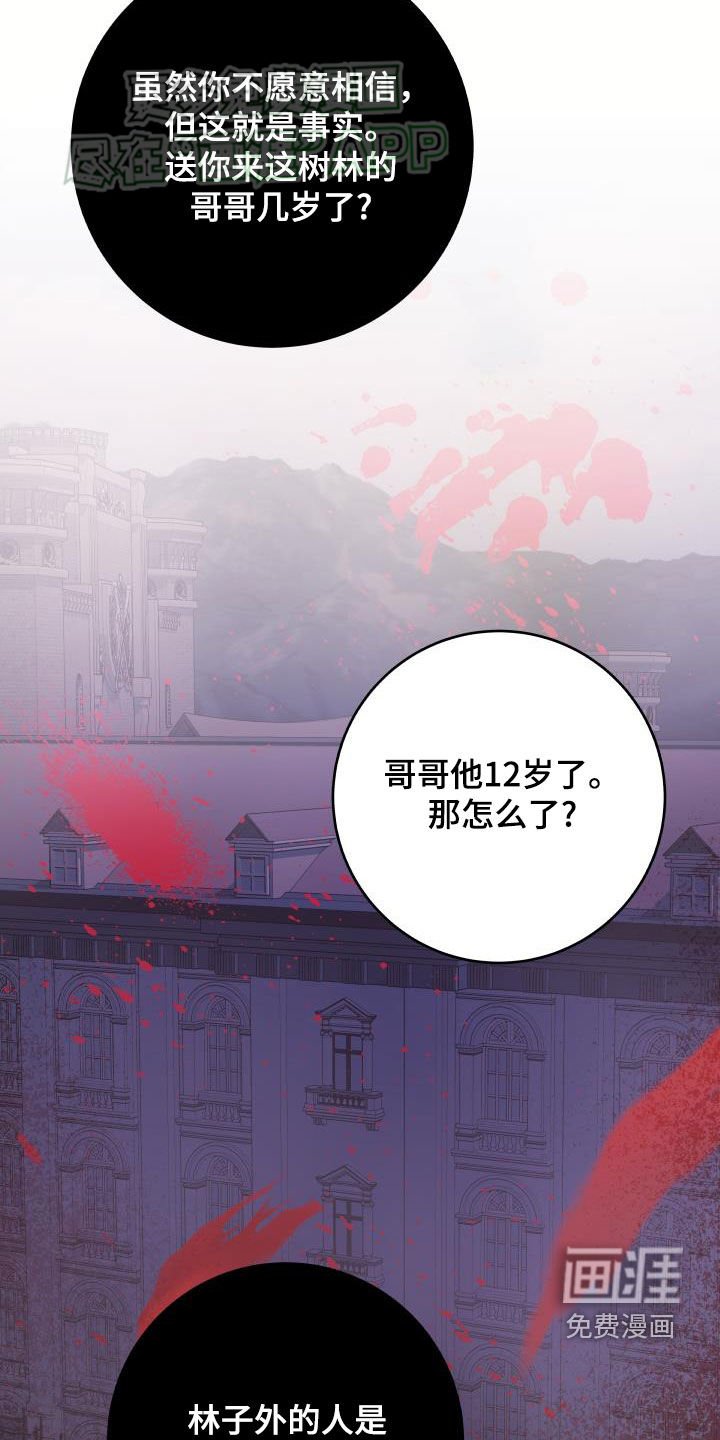 第41章：真实面目
