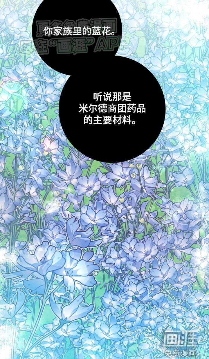 第41章：真实面目