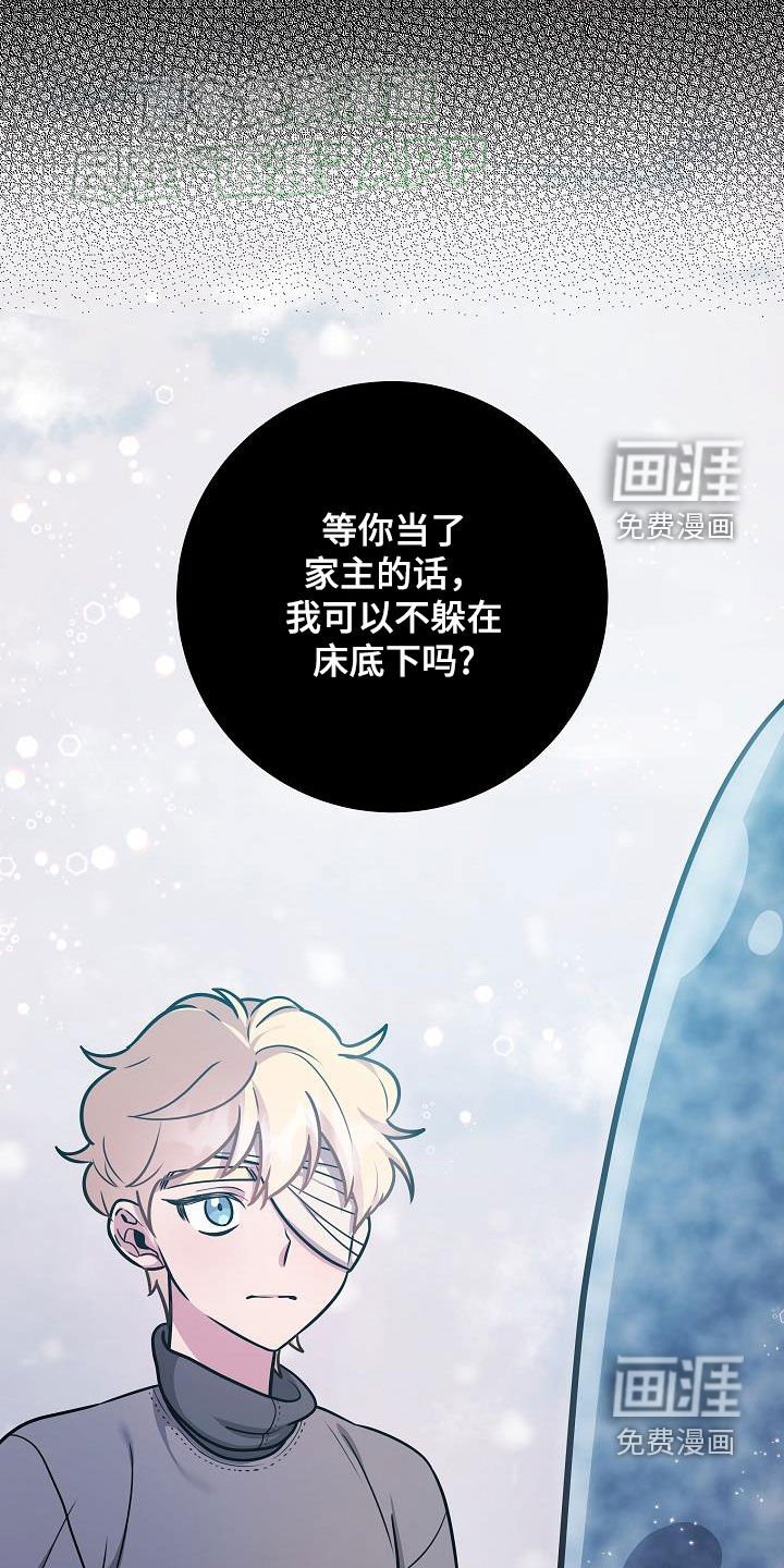 第43章：美好幻想