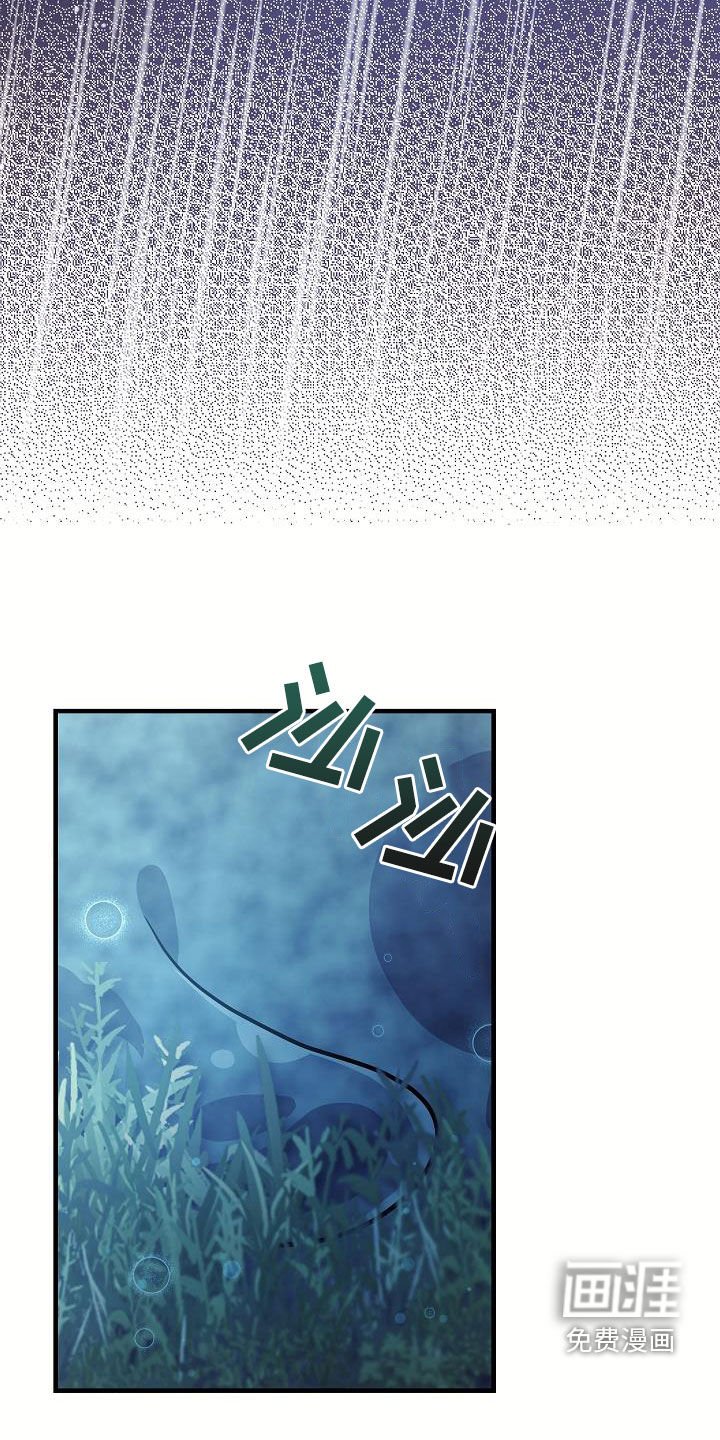 第46章：一定要找到