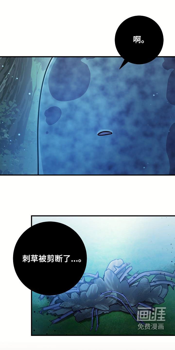 第46章：一定要找到