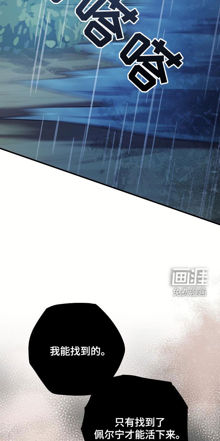 第46章：一定要找到