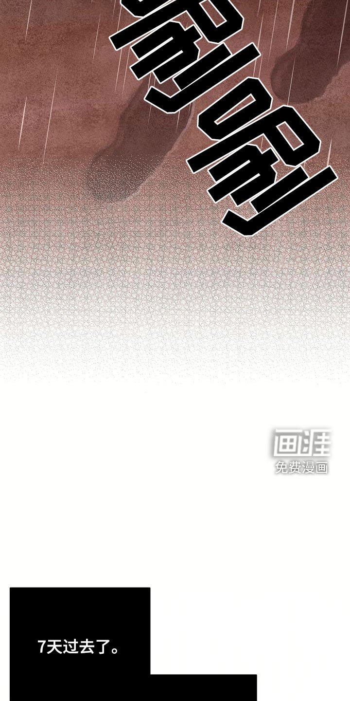 第46章：一定要找到
