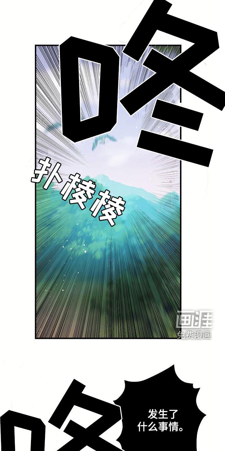 第46章：一定要找到