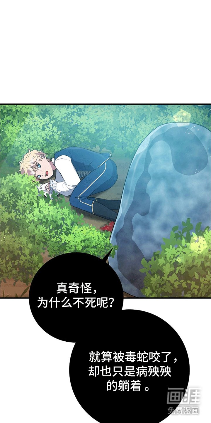 第5章：直面危险