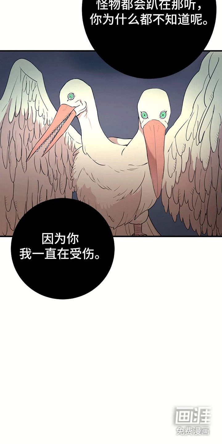 第5章：直面危险