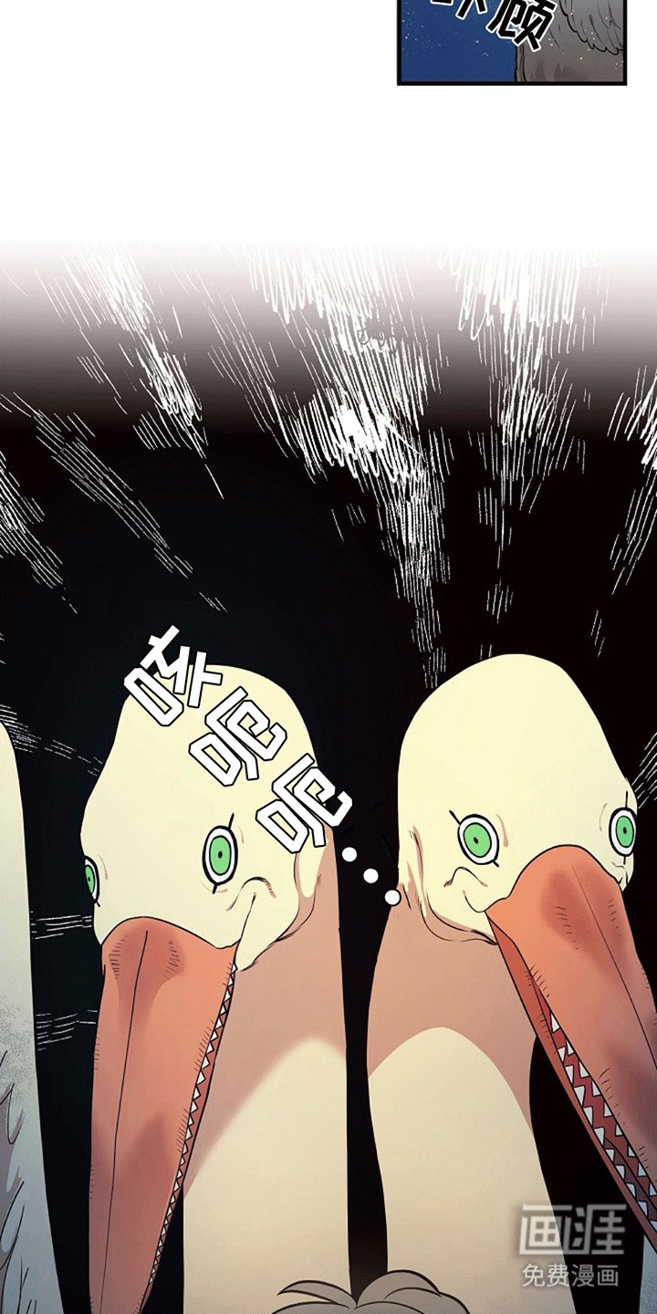 第5章：直面危险