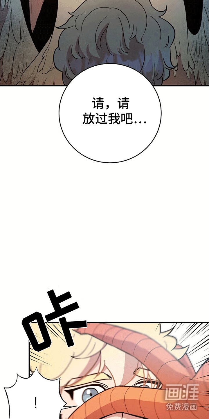 第5章：直面危险