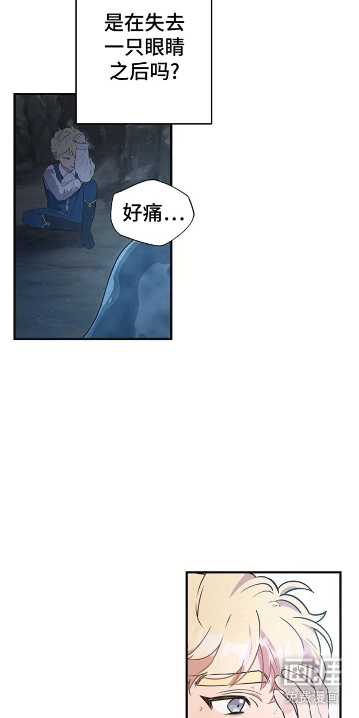 第6章：受伤