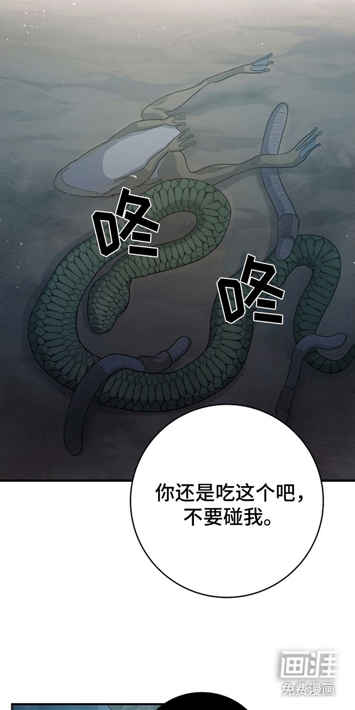 第6章：受伤