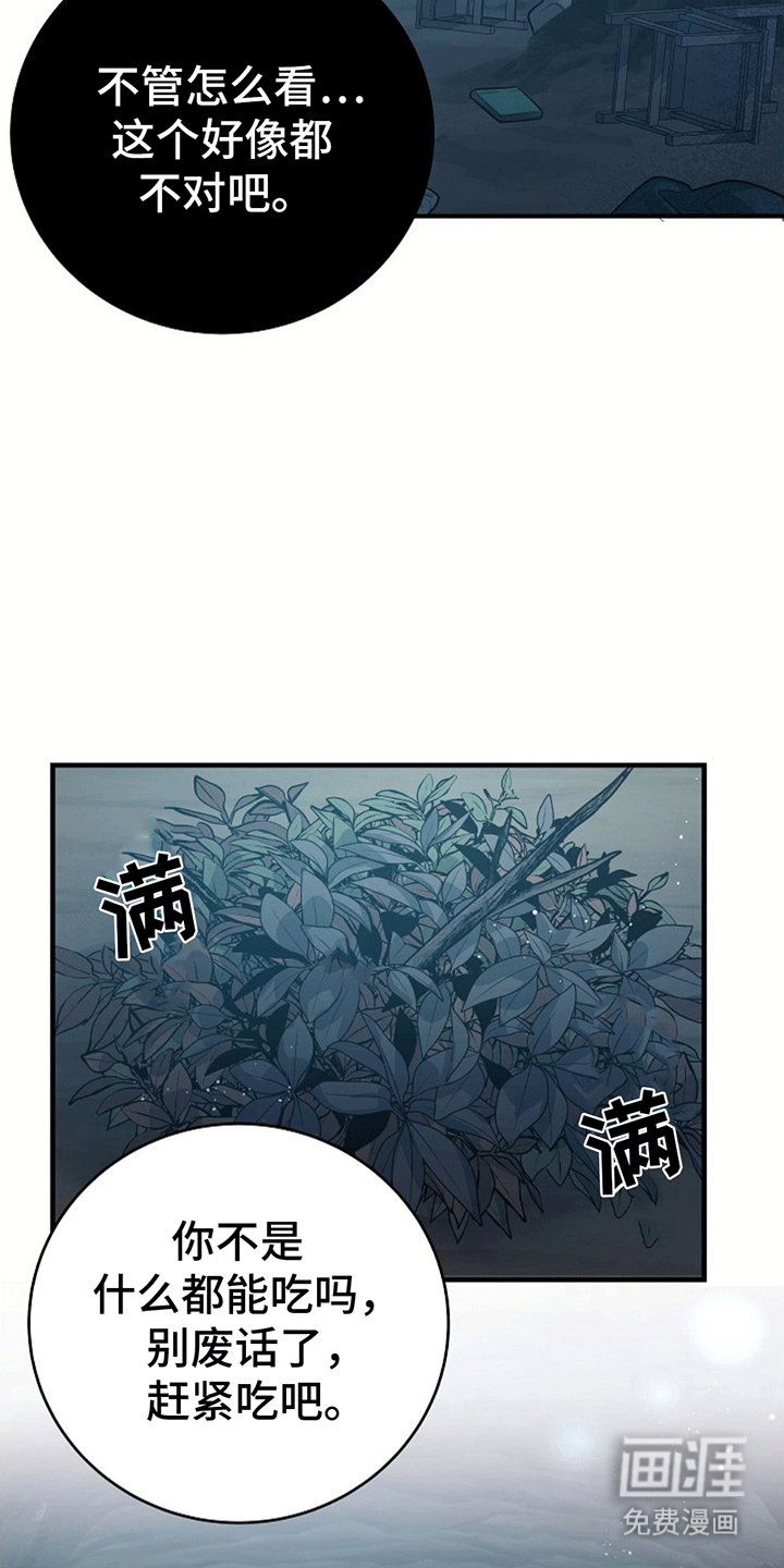 第6章：受伤