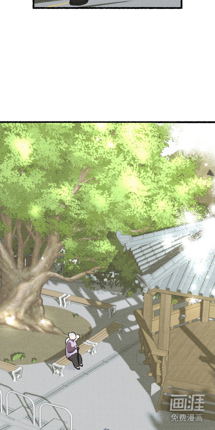 第11章：赶紧行动