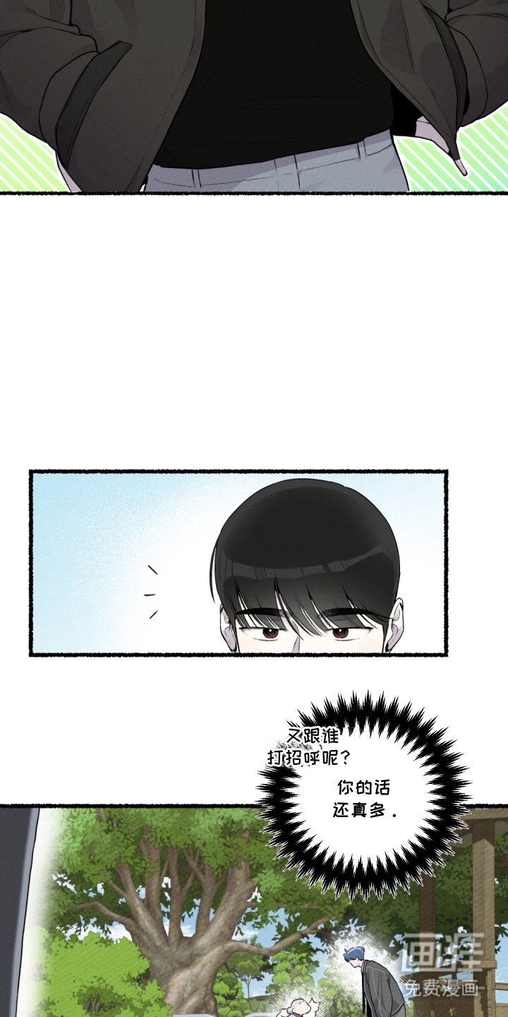 第11章：赶紧行动