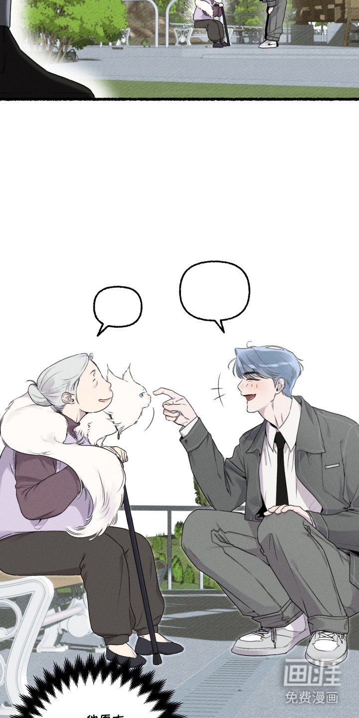 第11章：赶紧行动