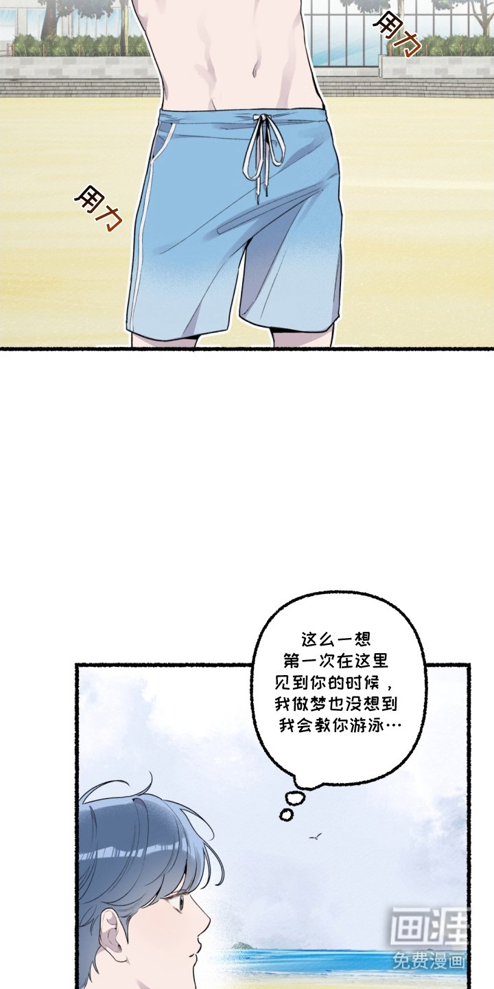 第14章：练习游泳