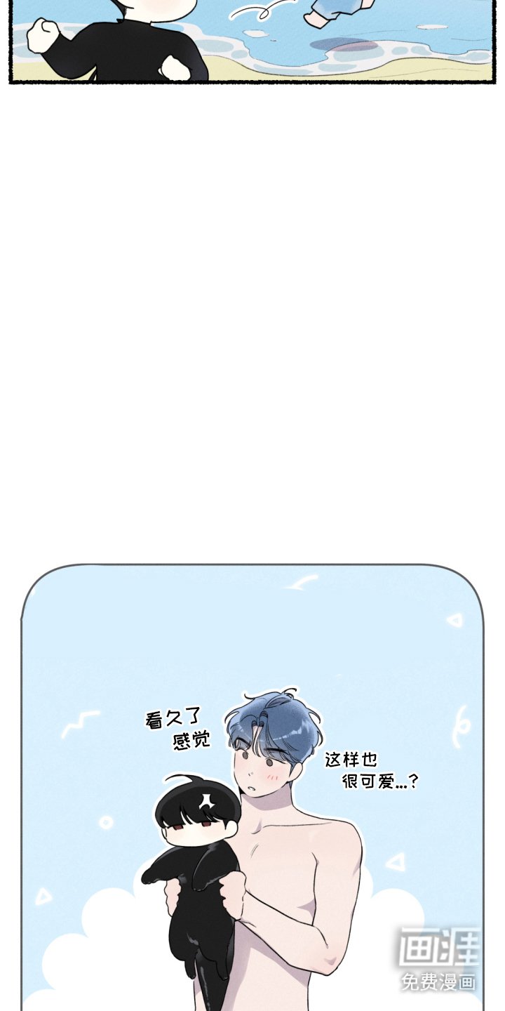第15章：适应