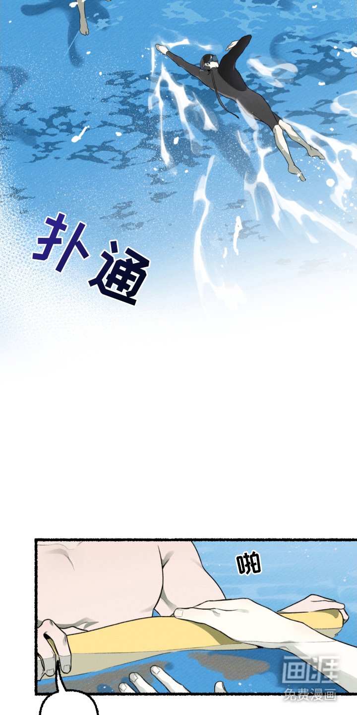 第15章：适应