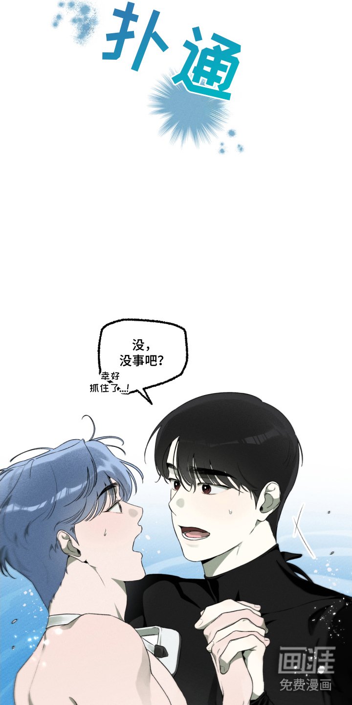 第15章：适应