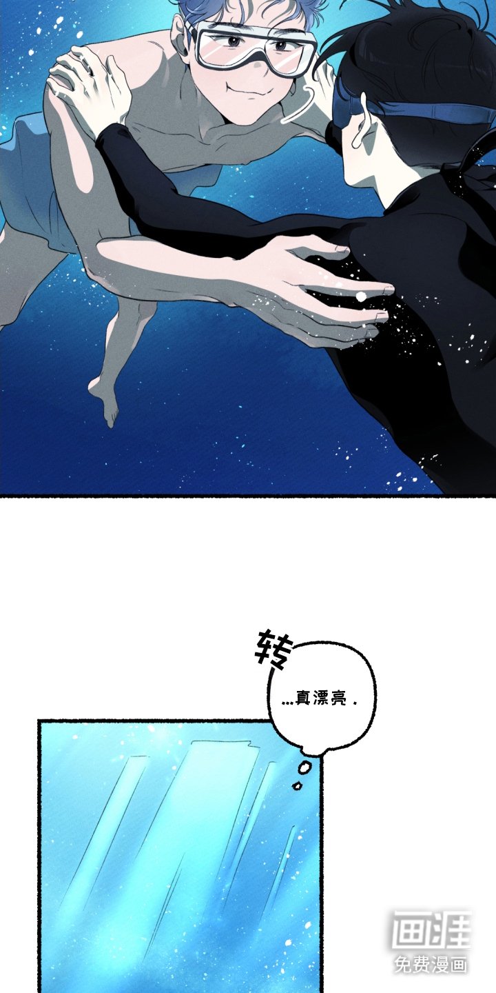 第16章：唯一的变化