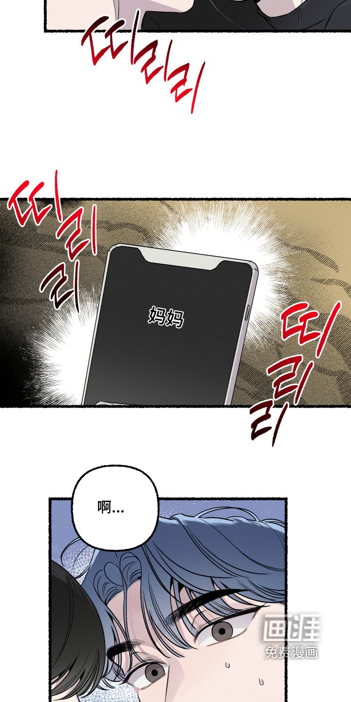 第27章：去看星星