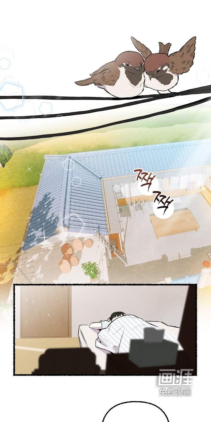 第29章：沉重