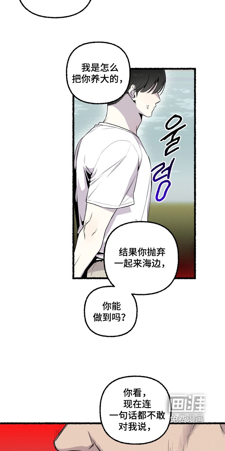 第35章：会理解我的