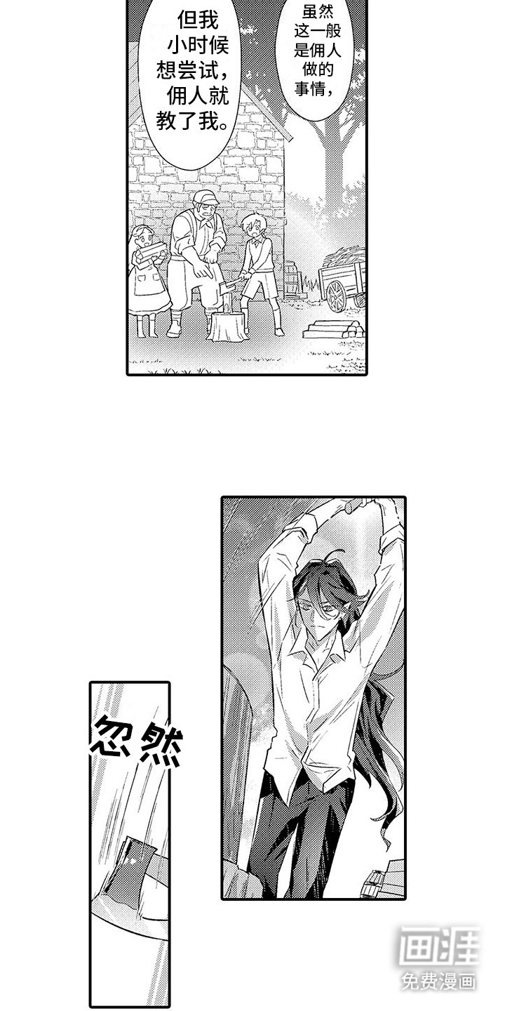 第12章：游说