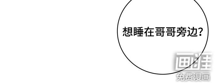 第48章：【番外】特别的一天