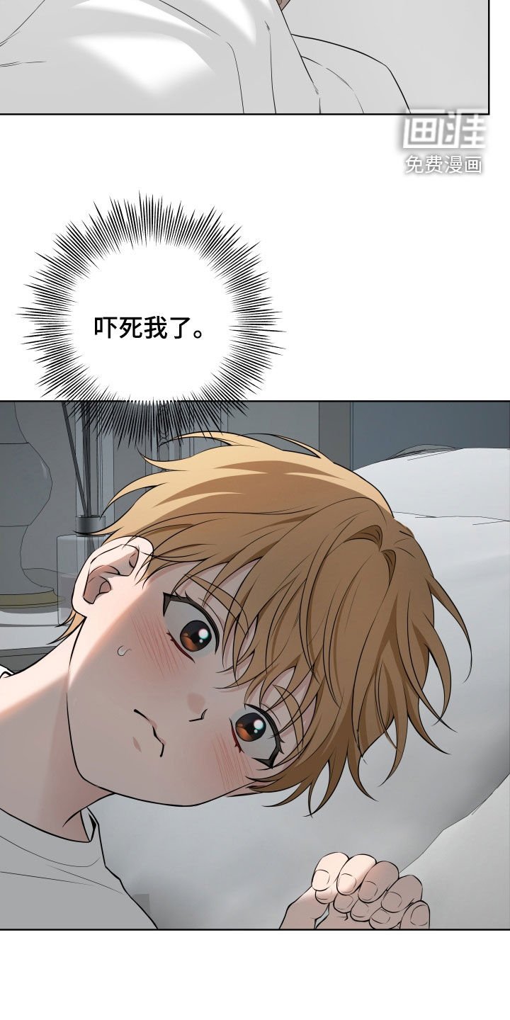 第49章：【番外】不再需要