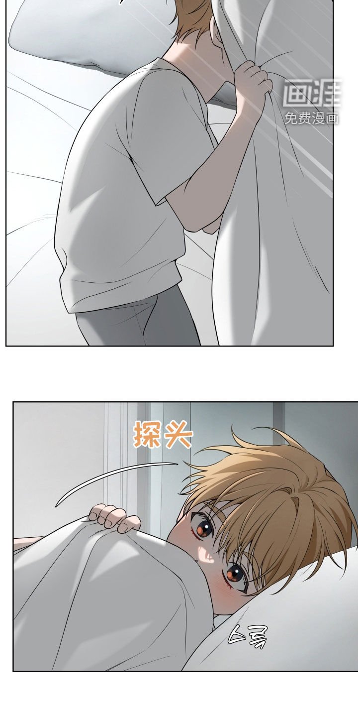 第49章：【番外】不再需要