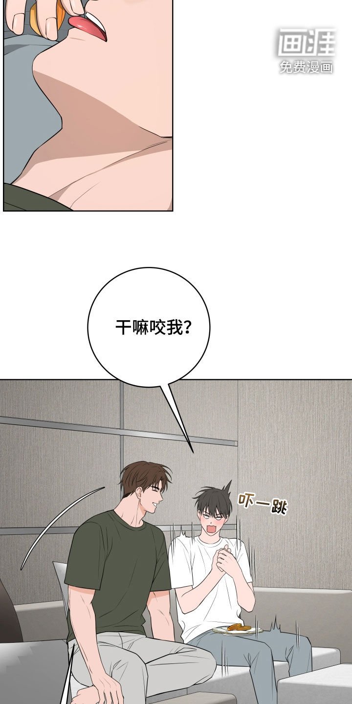 第50章：【番外】出国