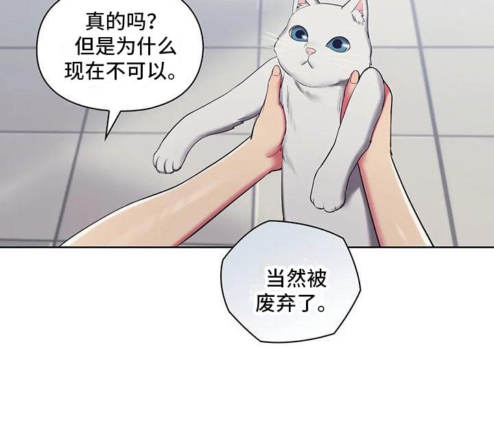 第3章：测试资格