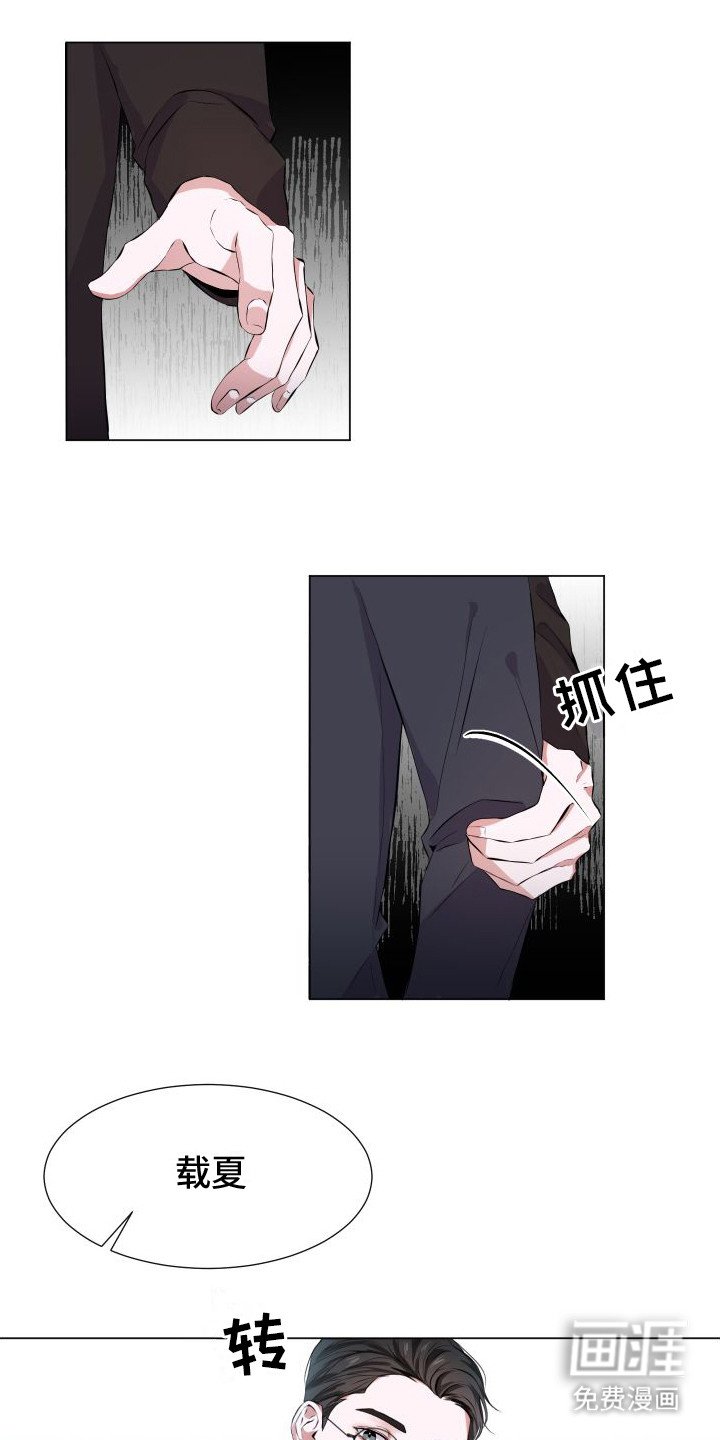第2章：坠楼案件