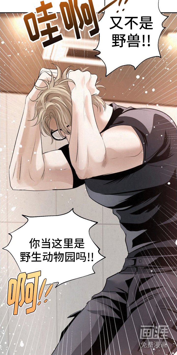第1章：向导与异能者