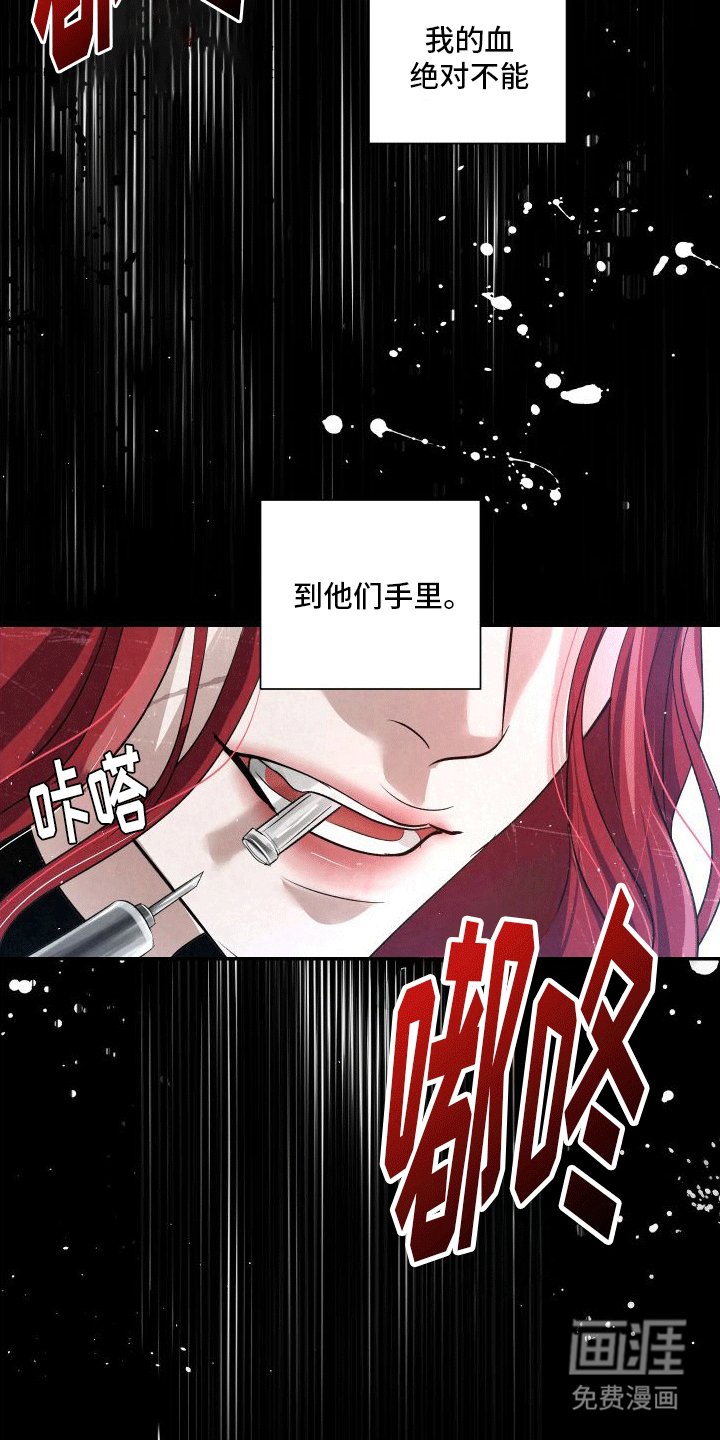 第11章：再次见面