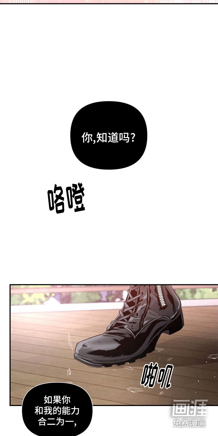 第11章：再次见面