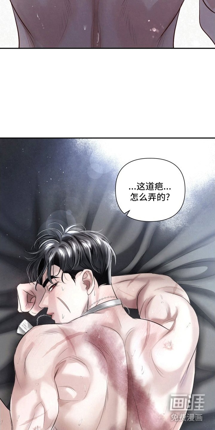 第15章：伤疤