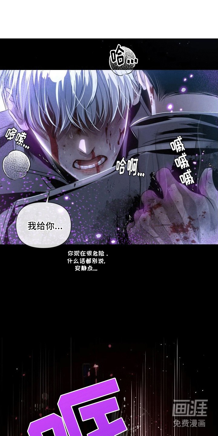 第15章：伤疤