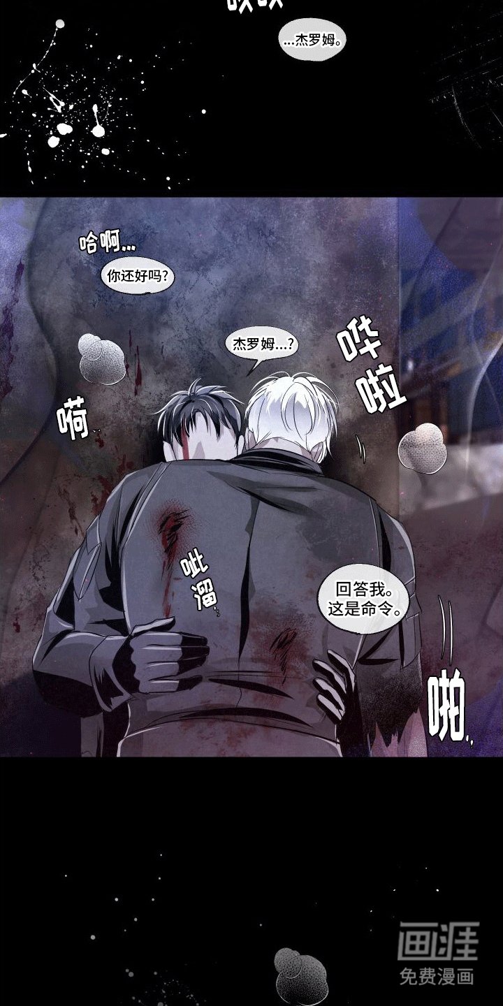 第15章：伤疤